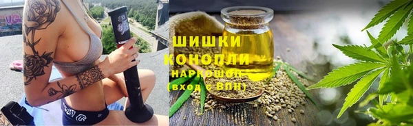 стаф Абдулино